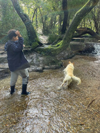 Exploring the forest.