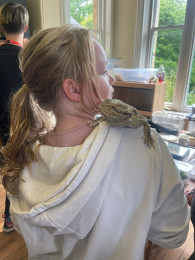 Enrichment activities linked to our curriculum.